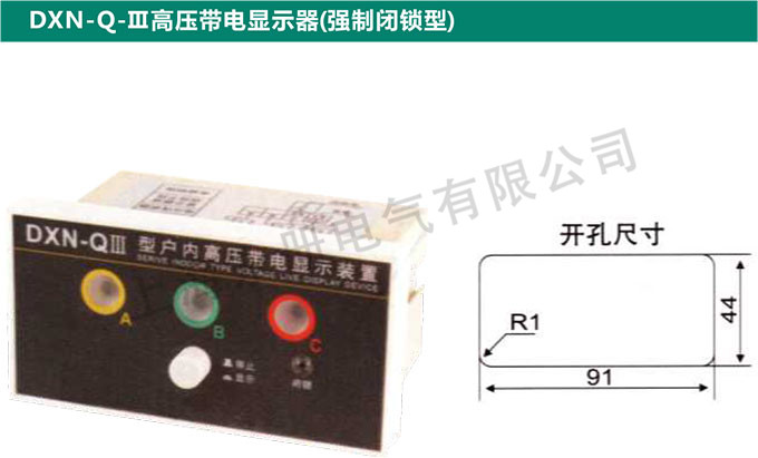 DNX-Q-Ⅲ高壓帶電顯示器(強(qiáng)制閉鎖型)